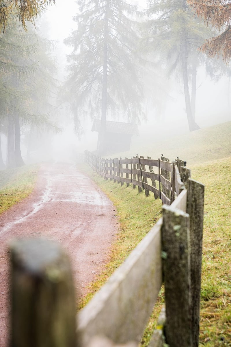 Forest Road